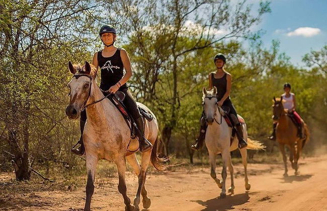 Balade à cheval à Kusadasi - Photo 3