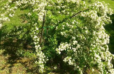 The Colours Of Chianti - Foto 8