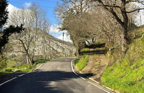 Escuelas de collía A - Photo 4