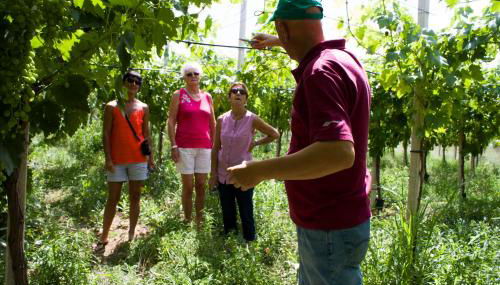 Masseria Marico - Foto 5