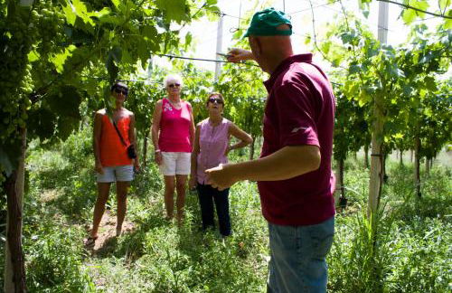 Masseria Marico - Foto 5