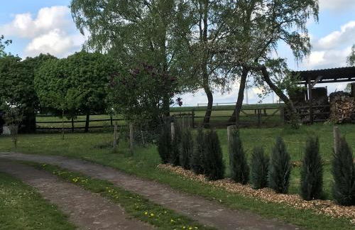 HeideZeit 3 - Foto 9