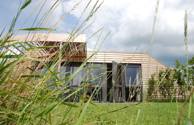 Peaceful Farmside Bungalow - Photo 34