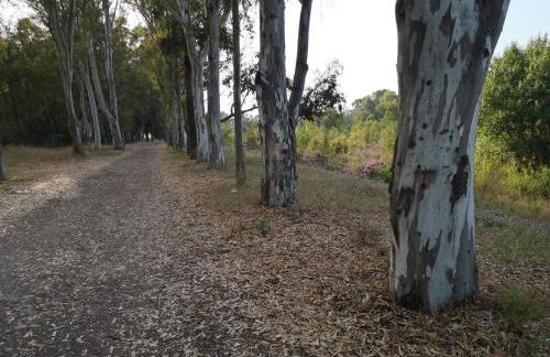 Tout près de la plage - Foto 41