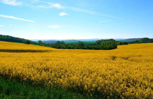 Holiday Home in Maxen mit Privatem Pool by Interhome - Foto 20