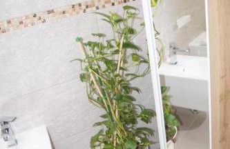 MareA Apartments - Foto 21