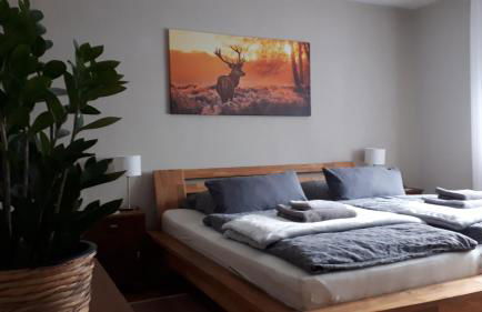 Ferienhaus Hinterlandswald - Foto 24