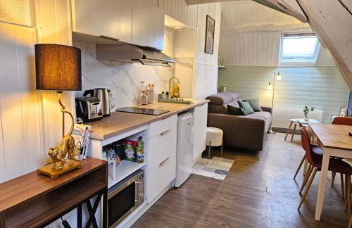 T2 Ctre ville Fibre proche Beauval - Photo 28