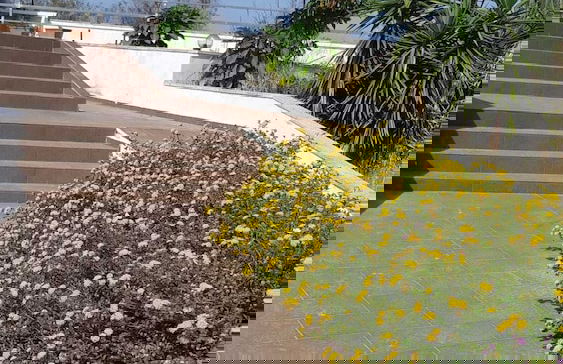 Agriturismo Vivinatura - Foto 41