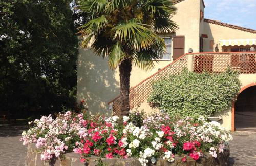 Podere il Giurato - Foto 16