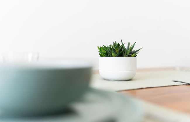 Innovation House - Foto 58