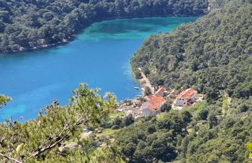 Apartmani Pjevalo-Mljet - Photo 11