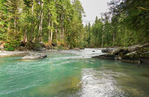 Mt Baker Den, Sleeps 4 - Foto 27