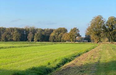 Moderne Ferienwohnung mit Fachwerkcharme - Foto 18