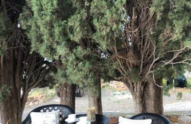 Kamares Stone House 1 - Photo 18