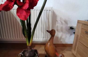 Ferienhaus Wieke - Foto 28