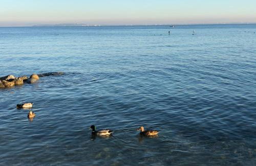 La Giolosa Gardapartments - Foto 52