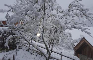 appartement myosotis pour 10 personnes - Foto 7