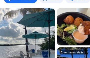 Bienvenidos a la Pequeña Selva de Legnalife - Foto 59