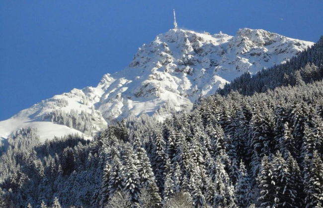 Spacious Apartment in Uderns near Ski Area - Foto 24