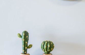 Blue Coast House - Foto 28