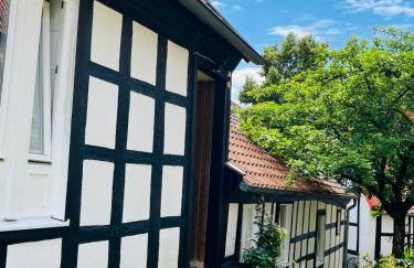 Lateinschule - Foto 54