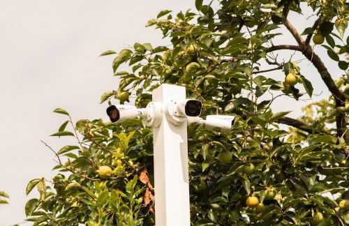 Villa Julia - Foto 57