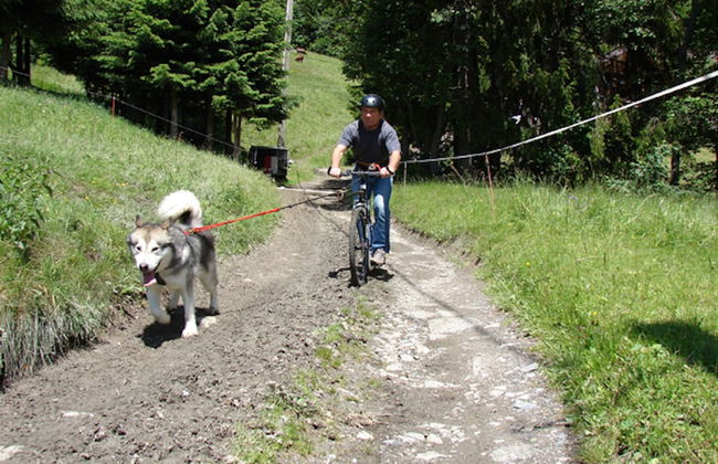 Résidence Hôtel Rent - Foto 52