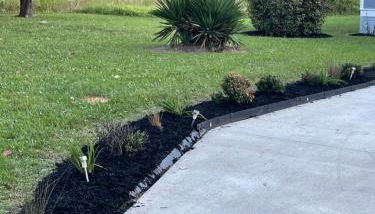 The QueenEsta - Foto 2