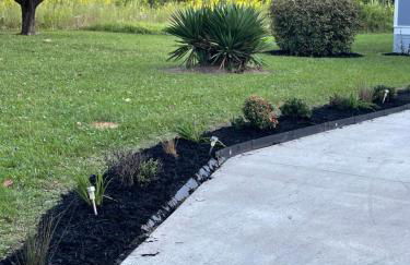 The QueenEsta - Foto 2