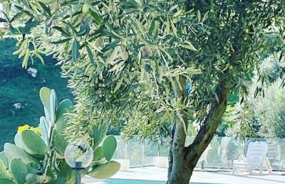 Villa Greco - Foto 12