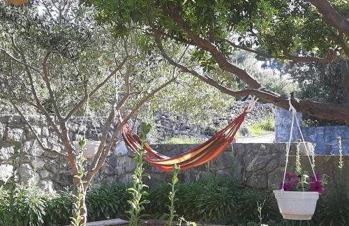 Kuća za odmor Neva - Foto 27