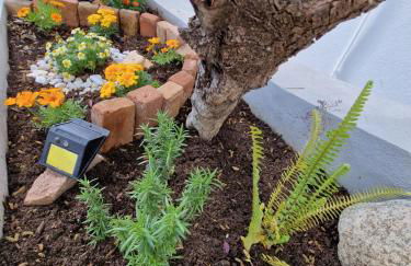 Villa Quattro Archi - Foto 61