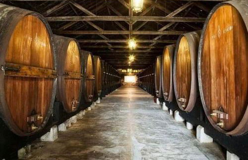 A Casa do Chapéu de Palha - Foto 12