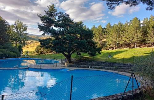 El Pinsapo - Foto 32