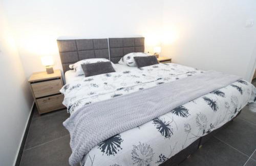 Fly in Apartment - Photo 7