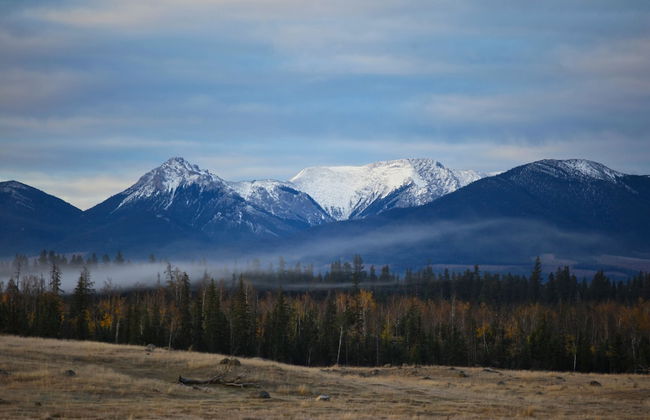 Meadow Lake Guest Ranch - Photo 80