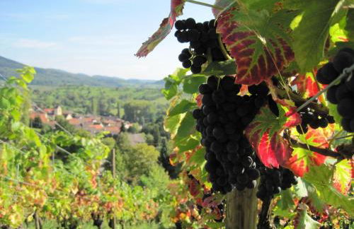 Ferienhaus Am Bauerngarten - Foto 7