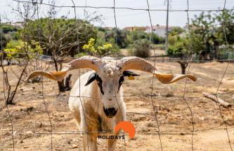 #178 Monte das Churras 1 by Home Holidays - Foto 48