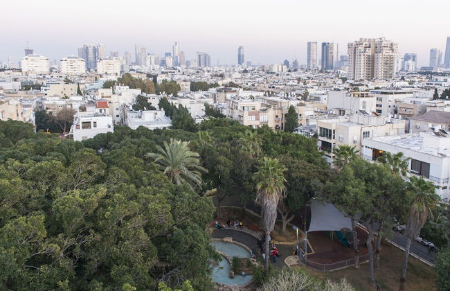 Mr. Brooklyn - By TLV2GO - Foto 41