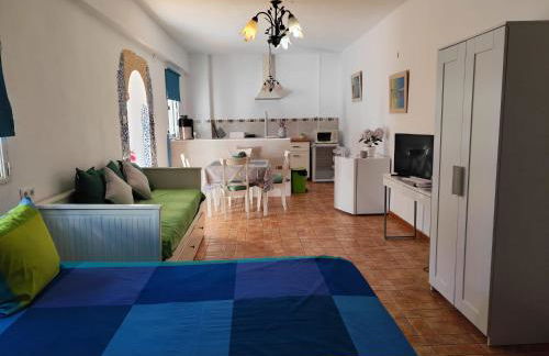 Studio Tropical - Foto 48