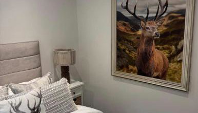 Cozy bungalow - Foto 2