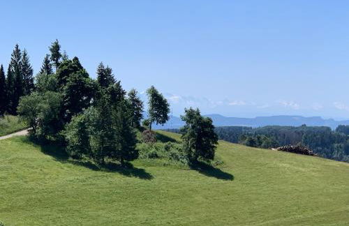 Blackforest Homestay Apartments - Foto 19