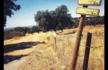 CASA RURAL LOS ALTOS - Foto 50