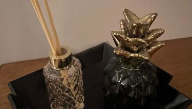 Studio Le Havre de Gentilly Nancy Laxou Zenith - Foto 5