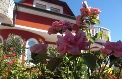 apartma Jelka - Foto 36