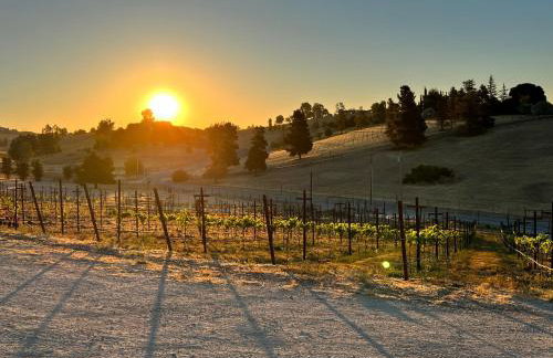 Steel City Cellars - Photo 24