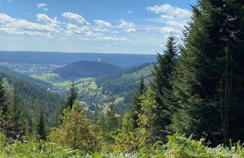 Ferienwohnung am Hirschkopf - Foto 15