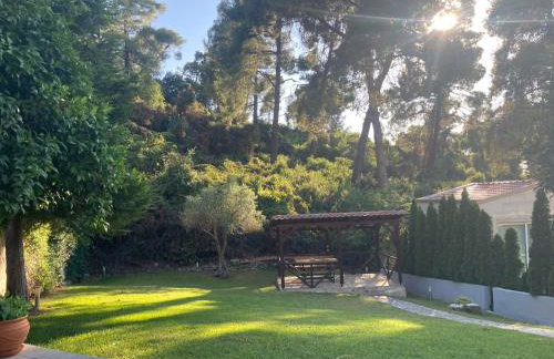 Villa Elani - Foto 44