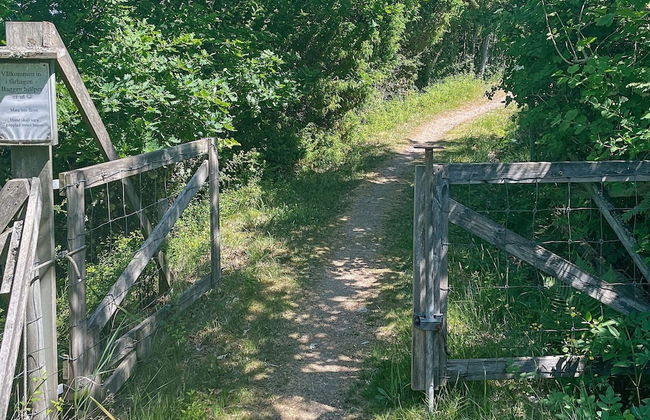 2 Person Holiday Home in Ellos - Foto 16